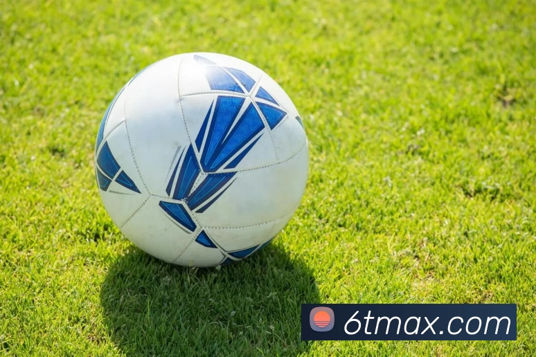 6T体育官网发展历程